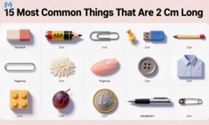 15-most-common-things-that-are-2-cm-long