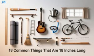 18-common-things-that-are-18-inches-long