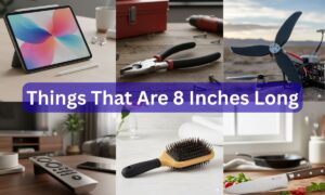 How Long Is 8 Inches? 11 Common Things That Are 8 Inches Long