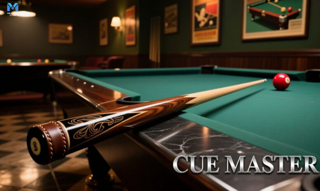 a-pool-cue