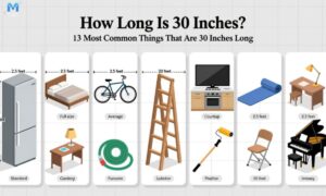 how-long-is-30-inches-13-most-common-things-that-are-30-inches-long