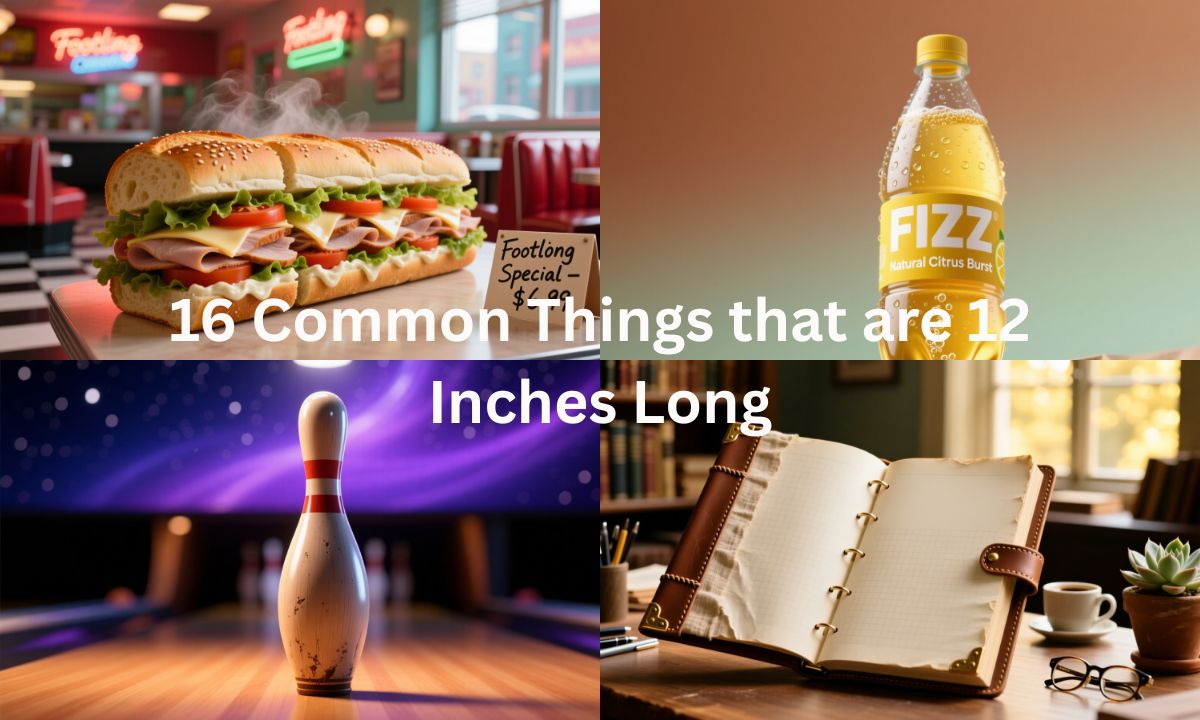 16-common-things-that-are-12-inches-long