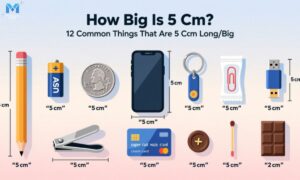 how-big-is-5-cm-12-common-things-that-are-5-cm-longbig