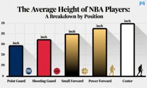 the-average-height-of-nba-players-a-breakdown-by-position