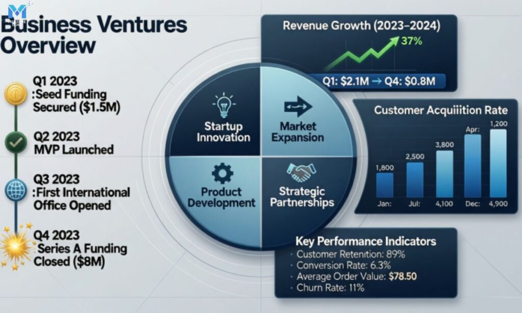 business-ventures-overview